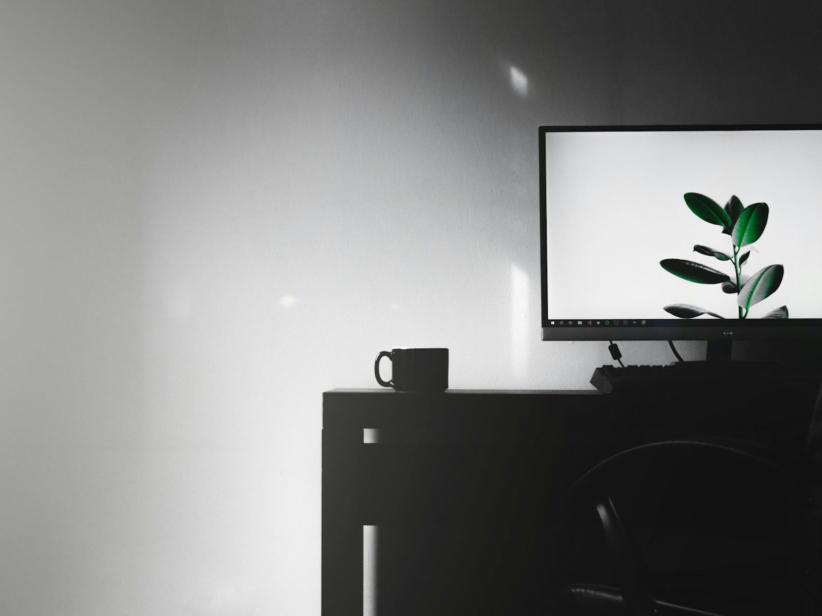 A desk with a monitor and a plant lit from the side